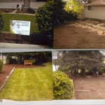 Instant lawn restoration