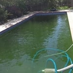 From green to clean in 3 days- Pool