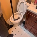 Snaking toilet