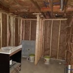 Basement Bathroom