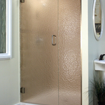 Shower door