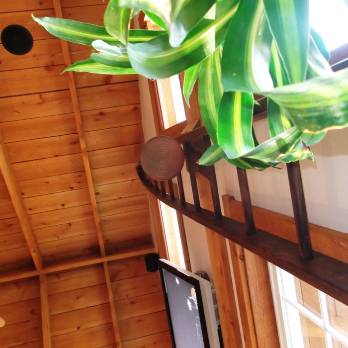 Vaulted Ceilings