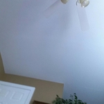 Ceiling Painted