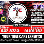 Tree removal