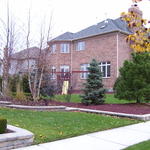 NLW3