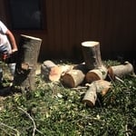 Tree work