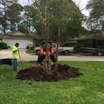 Landscape tear out and redesign