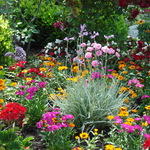 spring flowers mix