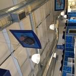 leslies pool store