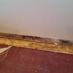 Mold Along Baseboards