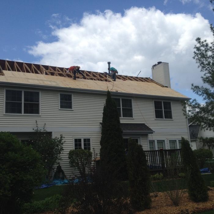 GAF Timberline Mold Remidiatiomn