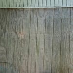 Shed Rehab