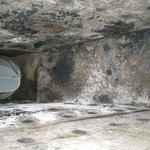 Mold in ductwork