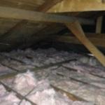 Attic Clean Out