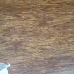 Before Floor
