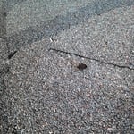 We find and fix the leak
