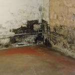 Black mold