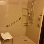 Millie's New Accessible Shower