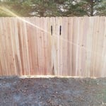 Cedar privacy fence