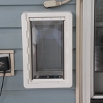 Doggy door