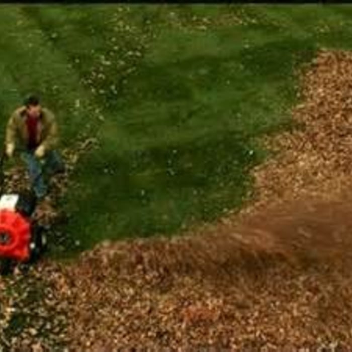 Leaf Blowing