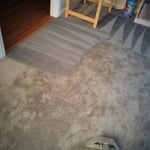 Residential Nylon Carpet