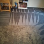 Residential Nylon Carpet 2