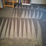 Residential Nylon Carpet 3