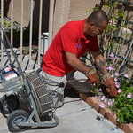 Drain Cleaning