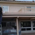 DECK / PATIO REPAIRS