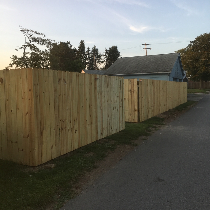 Pine Fence