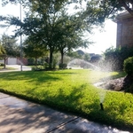 Front yard Rotars