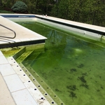 Full pool renovation