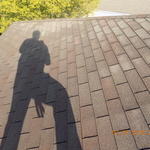 Roof Surface