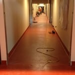 Kitchen's main hallway
