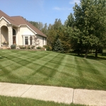 Mid Summer Lawn Results