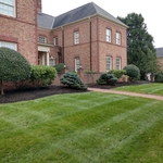 Benefits of Aeration