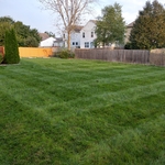Thick, Lush and Healthy Lawn
