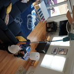 Ceiling fan cleaning