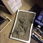 Dust that has accumulated in trunk line