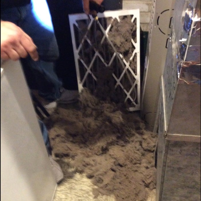 Dust that has accumulated in trunk line