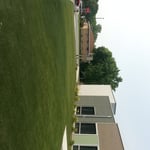 Looks better than the grass across the street!