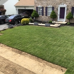 Sod Installation