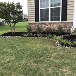 Tree, Shrub, and Plant Installation