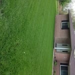 New Lawn. Green Green Green