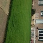 Dream Lawn