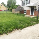 Lawn Care
