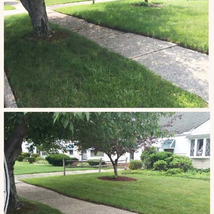 Lawn care
