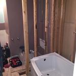 Bath Remodel
