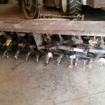 Aerator